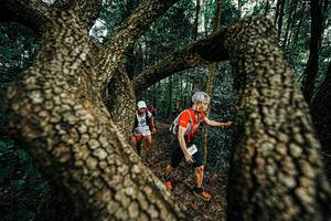 BIB: 
                            <button type="button" onclick="openModal(25393687)" class="btn btn-primary btn-sm float-right btn-popup" data-toggle="modal" data-target=".modal-high-quality">
                        <i class="fas fa-shopping-cart"></i> Add to Cart
                    </button>
                                            <button type="button" onclick="isThisMe(25393687, true)" class="btn btn-success btn-sm float-right btn-popup btn-isme hidden" data-toggle="tooltip" data-placement="bottom" title="นี่คือรูปของคุณใช่ไหม คลิกที่นี่เพื่อเอาเข้าอัลบั้ม">
                        <i class="fas fa-plus"></i> Add to album
                    </button>
                    <button type="button" onclick="isThisMe(25393687, false)" class="btn btn-warning btn-sm float-right btn-popup btn-isnotme hidden">
                        <i class="fas fa-ban"></i> Remove from album
                    </button>